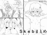 Skebまとめ