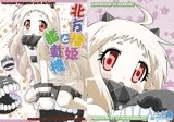 北方棲姫と艦載機