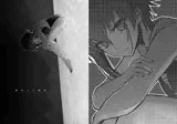 薄氷上の雛鳥