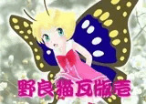 野良猫瓦版 壱