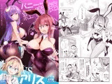 バニー紅魔館VSアリス