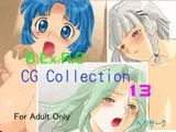 ベクサークCG COLLECTION13