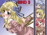 bind 3 ～D.C.&C2 凌○CG集