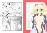 シャントットの憂鬱