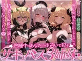 【三人同時責め】熟睡中のあなたを夜○いで○すサキュバス三姉妹。優しい長女・甘々次女・元気な三女に一晩中何度も中出しをねだられ、精液を最後の一滴まで搾り尽くされる