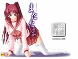 またたま