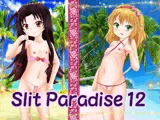 Slit Paradise 12