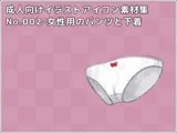 成人向けイラストアイコン素材集 Type.002 - 女性用のパンツと下着