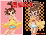 霞草DX