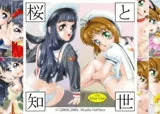 桜と知世