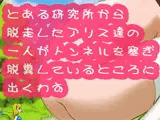 とある研究所から脱走したアリス達の一人がトンネルを塞ぎ脱糞しているところに出くわす