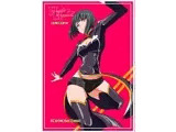 Heroine harassment 純潔の退魔師アキナ 前編 淫魔の手に堕ちる最強の乙女