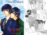 WaterMark