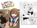 しかのこしこしこうでぱんぱん