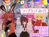 裏文化祭ソープランド通り