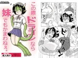 この際ドラゴンなら妹でもかまわねぇ。