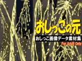 おしっこの元 -おしっこ画像データ素材集-