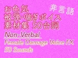 【戦闘RPG向け】お色気・被弾喘ぎボイス素材集|Non-Verbal Female Damage Voice FX (50)