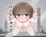 ある朝、目覚めたらペットショップで売られていた