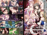ルナソフトコレクション