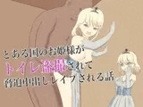 とある国のお姫様がトイレ盗撮されて脅迫中出しレ○プされる話