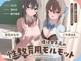 僕は女子高の性教育用モルモット～JK達に使われる道具ちんぽ学校性活～