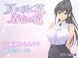 夏に咲く花 春色の花
