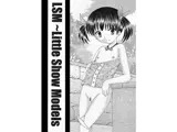 LSM?Little Show Models DL版