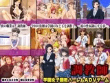 ハーレム調教ADVゲーム?調教師?