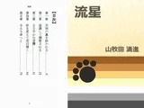 流星