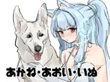 あかね・あおい・いぬ