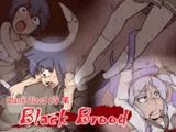 
        【BlankBloodCG集】 BlackBrood
      