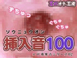 挿入音100～エロ効果音シリーズ02
