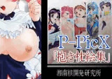 P-PicX「抱き枕絵集」