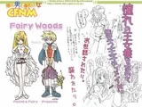 Fairy Woods 2