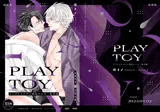 PLAY TOY