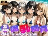 微乳飼育 〜 ちっぱいハーレム島 Vol.2【4K】