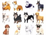 【犬20種類×5】著作権フリーの高解像度イラスト素材（画像100枚）
